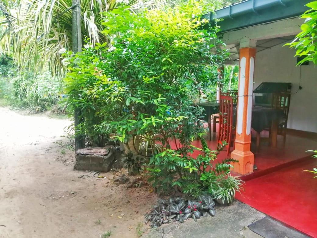 Senith Guest House Мирисса Экстерьер фото
